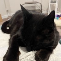 Studform Employee Gale Hounsell's profile photo