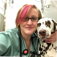 Massachusetts Veterinary Referral Hospital Employee Maureen McDermott's profile photo
