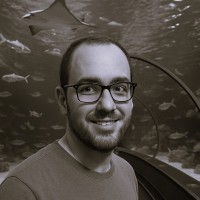 RemDev Employee Fren Kalemaj's profile photo