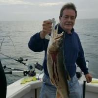 Peter Laufer Email & Phone Number
