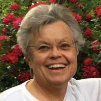 American Red Cross Employee Stacey Ryan's profile photo