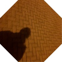 Screen Academy Scotland Employee David Griggs's profile photo