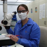 Zoetis Inc. Employee Sarah Apple's profile photo