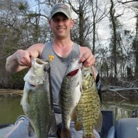 PUGMILL SYSTEMS Employee Derek Marks's profile photo