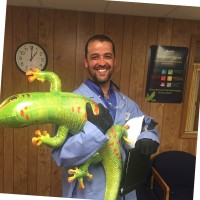 Siroflex, Inc Employee Marcio Miranda's profile photo