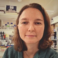 Epigenetics and Cell Fate Centre Employee Angélique Amo's profile photo