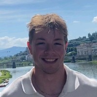 David Remenyik's profile photo