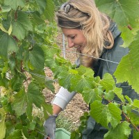 Champagne Deutz Employee Elodie Sebag's profile photo