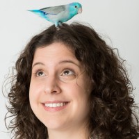 Royal Vet Employee K.j. Goldenberg's profile photo