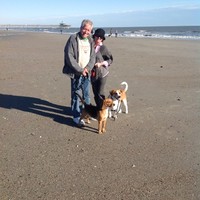 DCS, inc Employee Wendy Davidson's profile photo