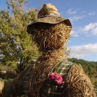the Strawman