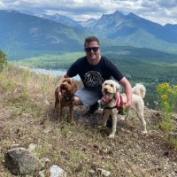 Ross Alexander Email & Phone Number