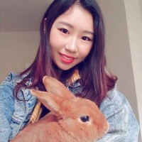 Datadog Employee Amy Luo's profile photo