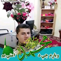 PPH Employee Abdulsalam Azimi's profile photo