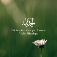 Alishwa Zaman Email & Phone Number