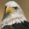 All Text Power Employee Hans Somhorst's profile photo