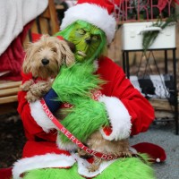 MasterCare Floors Employee Jill Bowen's profile photo