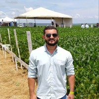 Romulo Bezerra Lima Email