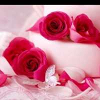 GreeLogix Employee Fatima Saeed's profile photo