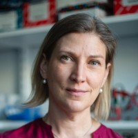 Karolinska University Hospital Employee Cecilia Götherström's profile photo