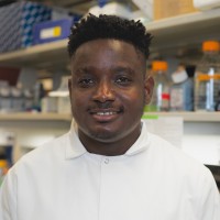 Richard Adeleke Email