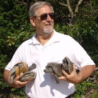 Turtle Journal Employee Don Lewis's profile photo