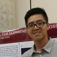 Ngoc Ngo Email