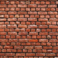 Any Service Company Employee Amira Ahmedin's profile photo