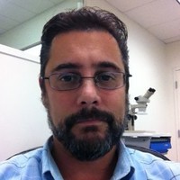 Nordson EFD Employee Robert Carta's profile photo