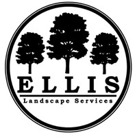 Jason Ellis
