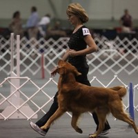 SmartPak Employee Carolyn Goudreau's profile photo