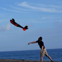 Metaverse VR Ltd Employee Hirad Goudarzi's profile photo