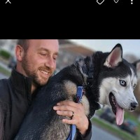 SBC Outdoor Services Employee Cory Thompson's profile photo