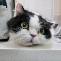 이수희 Email