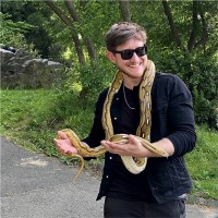 CODE WHITE GmbH Employee Mika Greif's profile photo