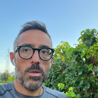 Multicedi Employee Ciro Cuccorese's profile photo