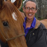 Donna Stedman Email & Phone Number