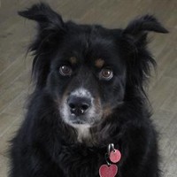 --Self employed Employee Russell Schwarz's profile photo