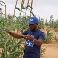 APBE Employee Chamsdine Ousmane's profile photo
