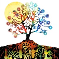 HSHS St. Mary's Hospital - Decatur Employee Lisa Konieczny's profile photo