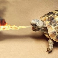 Mercedes-Benz of Tyler Employee Greg Short's profile photo