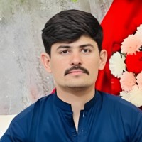 Vertechs Employee Husnain Khan's profile photo