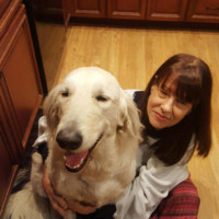 Karen Damore Email & Phone Number