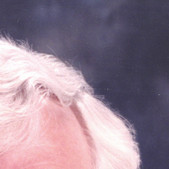 California State University, Chico Employee Jim Postma's profile photo