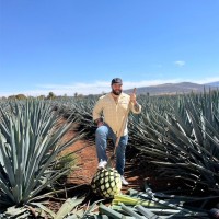 Ghost Tequila Employee Alex Carregal's profile photo