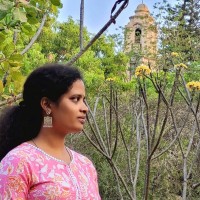 VIT_Vellore Institute of Technology Employee Krishna Mahapatra's profile photo