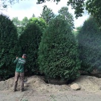 Cameron Prior Email & Phone Number