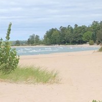 P3 Veterinary Partners Employee Linda Singleton's profile photo