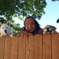 mojo Employee Wild Cat's profile photo