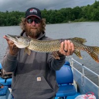 Ross Shannon's profile photo